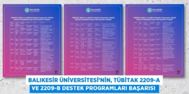 31582242802256224272tasarimli
