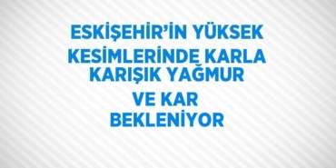 31583212992430728657tasarimli