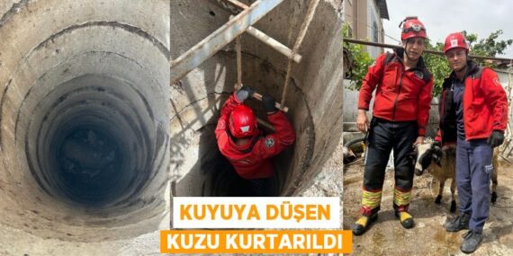 KUYUYA DÜŞEN KUZU KURTARILDI