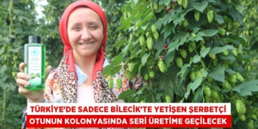 31587281553049830330tasarimli