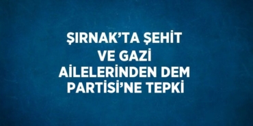 31593260772357920597tasarimli