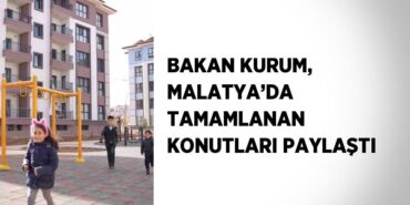 31594308793131728954