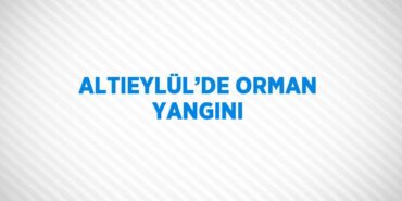 31596304022619025477tasarimli