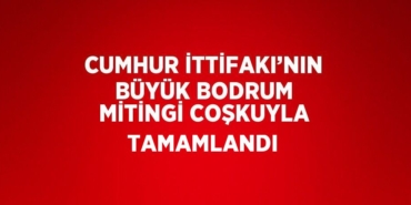 31597246722505529397tasarimli