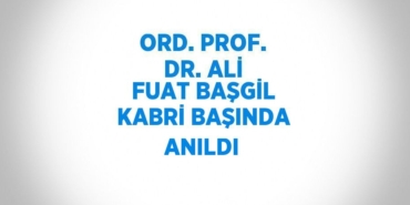 31597288762987524215tasarimli