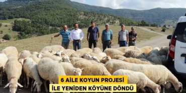 31597313212077422080tasarimli