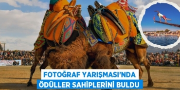 31599285602899022271tasarimli