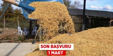 31604235032348125283tasarimli