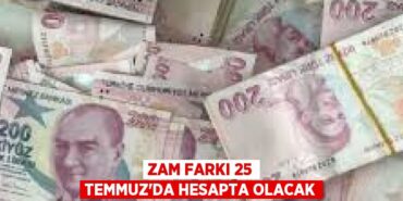 31604264272432528006tasarimli