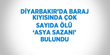 31608292862794430035tasarimli