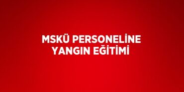 31610273132875720667tasarimli