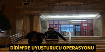 31613236402826526080