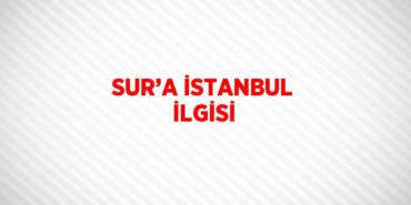 31613270503049729617tasarimli