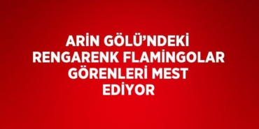 31619286222071022326tasarimli