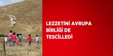 31625281632284031566