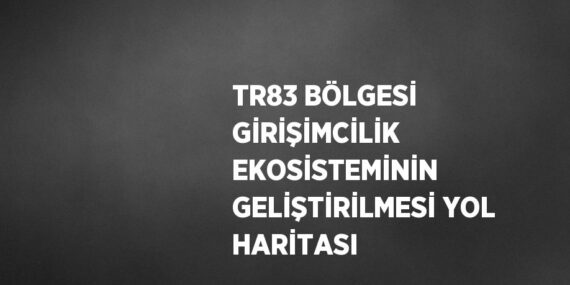 TR83 BÖLGESİ GİRİŞİMCİLİK EKOSİSTEMİNİN GELİŞTİRİLMESİ YOL HARİTASI