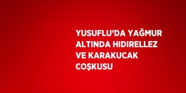 31628234352884920604