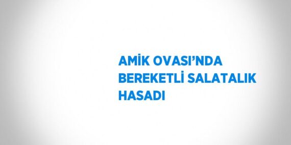 AMİK OVASI’NDA BEREKETLİ SALATALIK HASADI