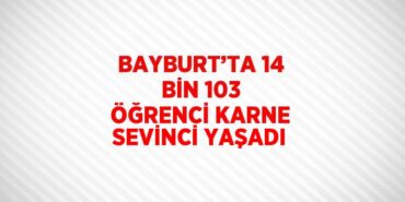 31629206642618527965tasarimli