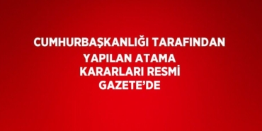 31635205132267429468tasarimli
