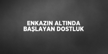 31641282012334831805tasarimli