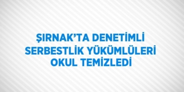 31647223512123726361tasarimli