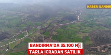 31648296042528728874tasarimli