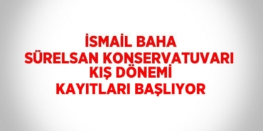 31651289352655026678tasarimli