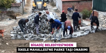 31661272222940330585tasarimli