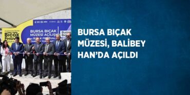 31664291452177020650