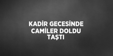 31666316952576521490tasarimli