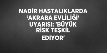 31668266712433225931tasarimli