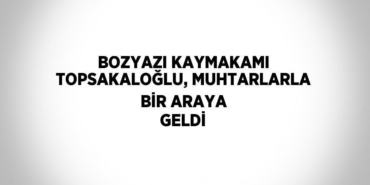 31676214482196021423tasarimli