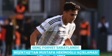 31678200412014028600tasarimli