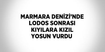 31682244912987531706tasarimli