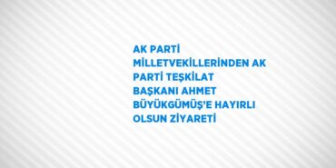 31685315442250329533