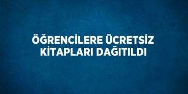 31688293592979031261tasarimli