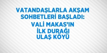 31691270372078520078tasarimli