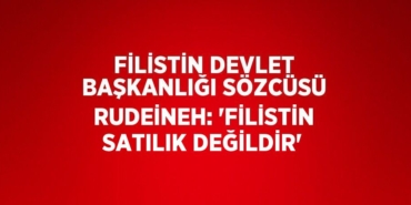 31691271012879428502tasarimli