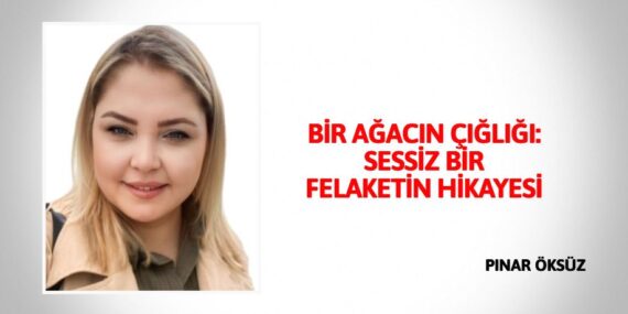 BİR AĞACIN ÇIĞLIĞI: SESSİZ BİR FELAKETİN HİKAYESİ