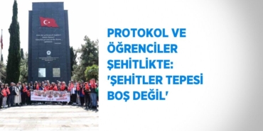 31695227233063524216