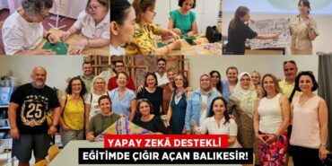 31695272432271225913tasarimli