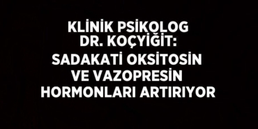 31697232502585023810tasarimli