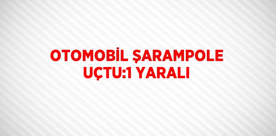 31699307392219922636tasarimli