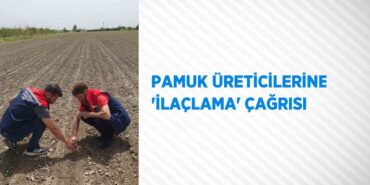 31700270652683426716