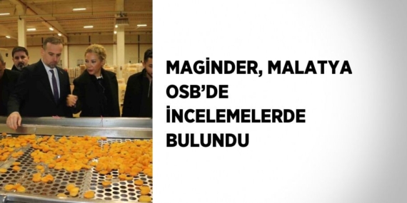 MAGİNDER, MALATYA OSB’DE İNCELEMELERDE BULUNDU