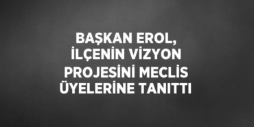 31704253933151426065tasarimli