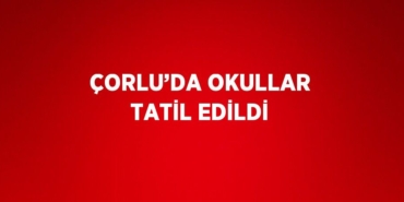 31704283072477428726tasarimli