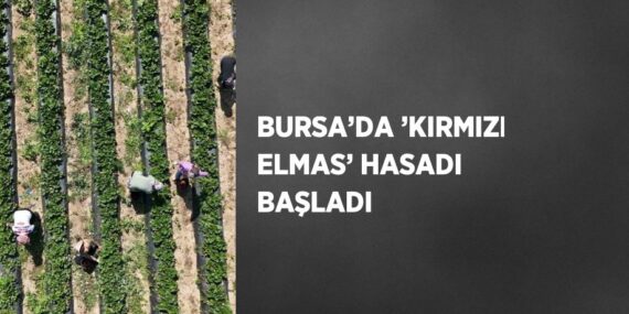 BURSA’DA ’KIRMIZI ELMAS’ HASADI BAŞLADI