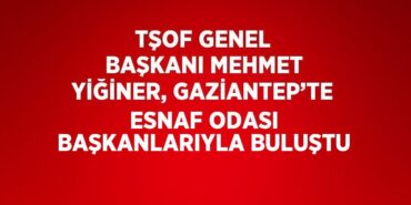 31705233072805923254tasarimli